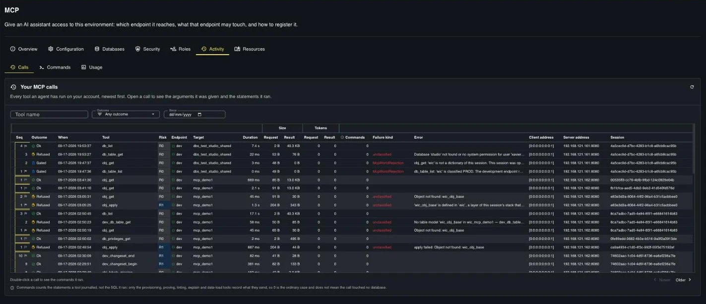 The user's MCP calls : every tool call with outcome ok, gated or refused, risk class, endpoint, target, duration, sizes, tokens, failure kind and error text.